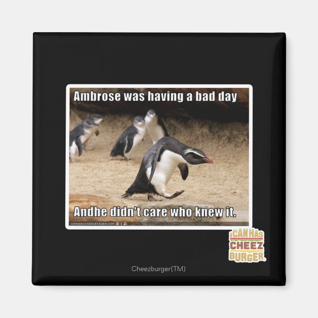 Aimant Ambrose passait une mauvaise journée (Devant)