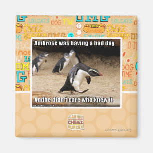 Aimant Ambrose passait une mauvaise journée