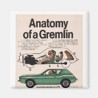 AMC Gremlin