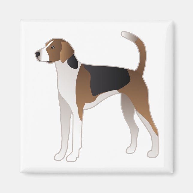 Aimant American Foxhound - Illustration de la race de chi (Devant)
