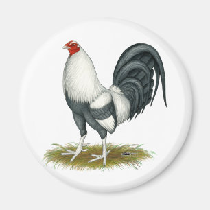 Aimant American Game Silver Blue Gamecock