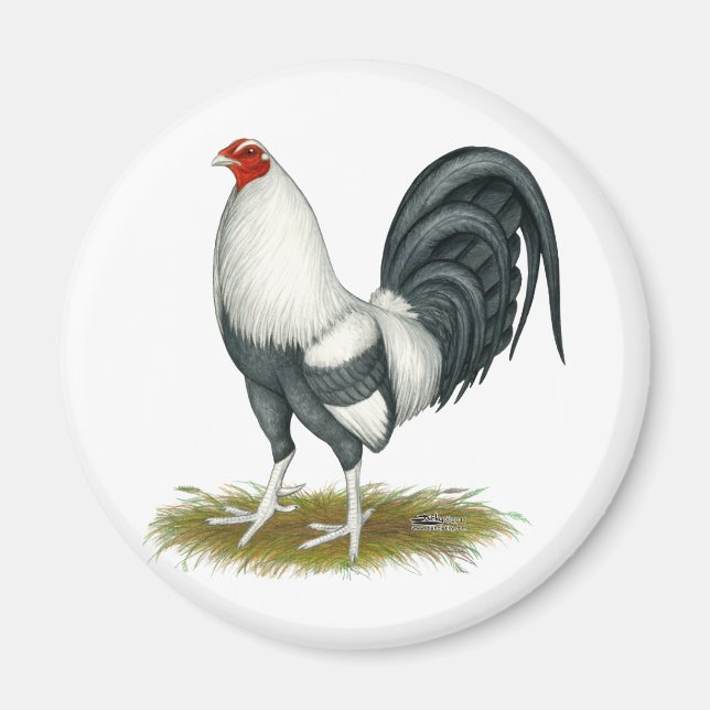 Aimant American Game Silver Blue Gamecock (Devant)