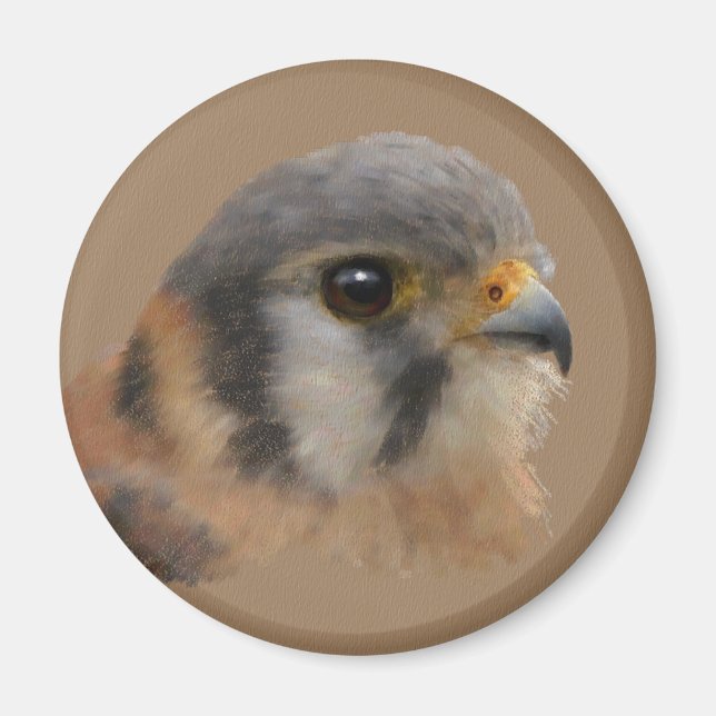 Aimant American Kestrel (Devant)