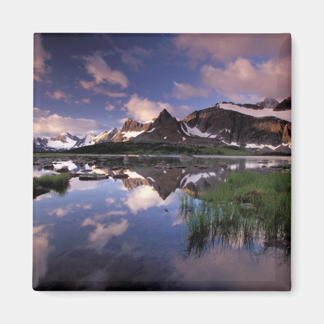 Aimant Amérique du Nord, Canada, Alberta, Jasper 4 (Devant)