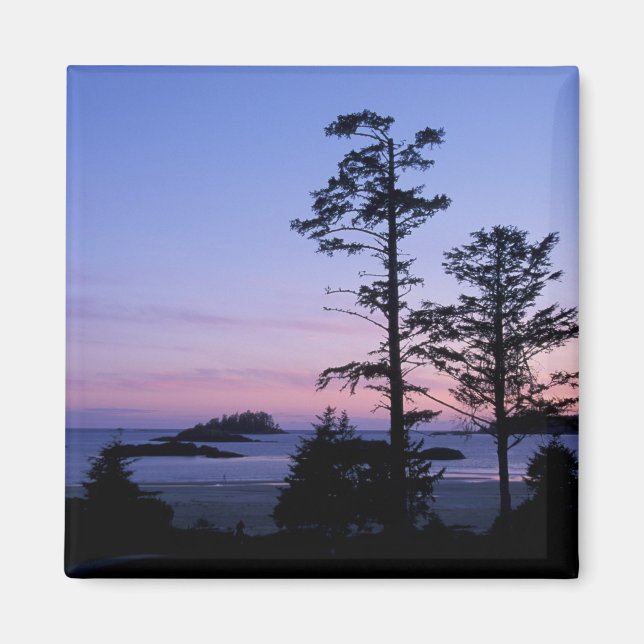 Aimant Amérique du Nord, Canada, île de Vancouver, arbres (Devant)