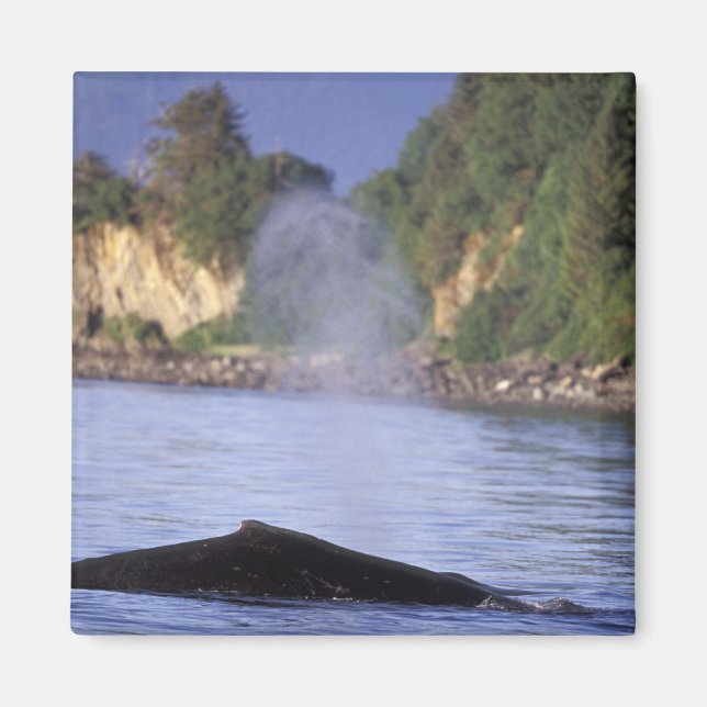 Aimant Amérique du Nord, États-Unis, Alaska, Passage inté (Devant)