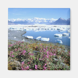 Aimant Amérique du Nord, États-Unis, Alaska, Prince Willi