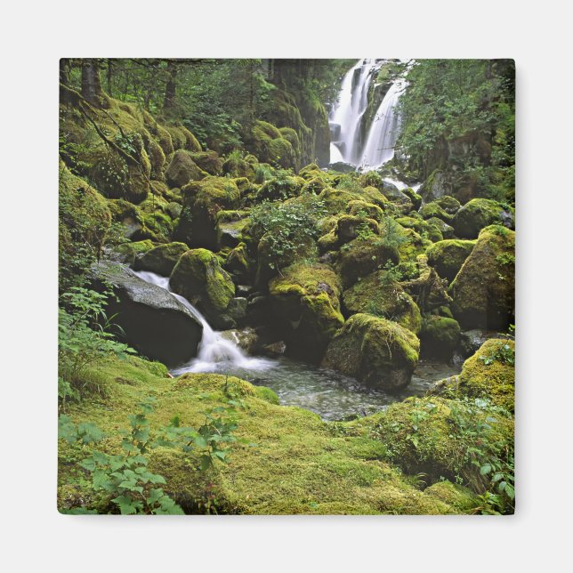 Aimant Amérique du Nord, États-Unis, Alaska. Une cascade  (Devant)