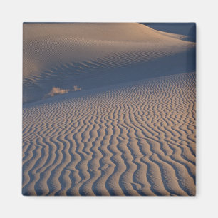 Aimant Amérique du Nord, États-Unis, Californie, Vallée d