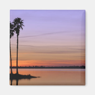 Aimant Amérique du Nord, États-Unis, Floride, Mt. Dora, u