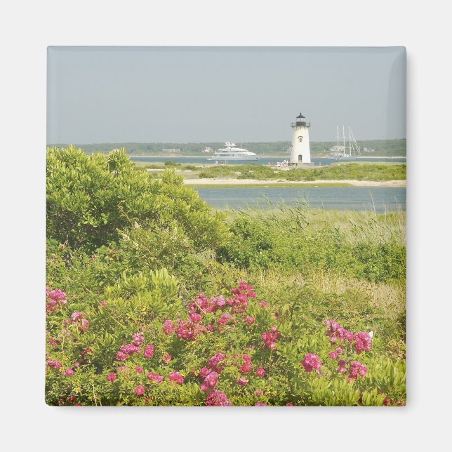 Aimant Amérique du Nord, États-Unis, Massachusetts, Marth (Devant)