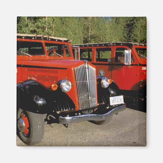 Aimant Amérique du Nord, États-Unis, Montana. Ford classi (Devant)