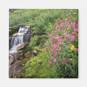 Aimant Amérique du Nord, États-Unis, Montana, Glacier Nat