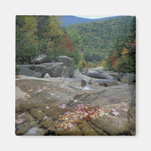 Aimant Amérique du Nord, États-Unis, NH, Feuillage d'auto (Devant)