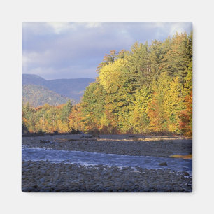 Aimant Amérique du Nord, États-Unis, NH, rivière Saco. Ga