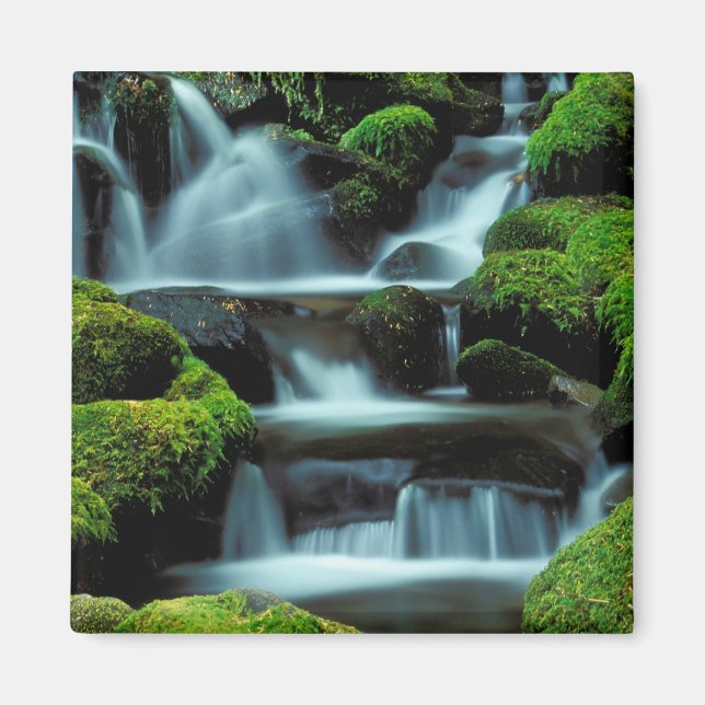 Aimant Amérique du Nord; États-Unis; Washington, Cascade  (Devant)