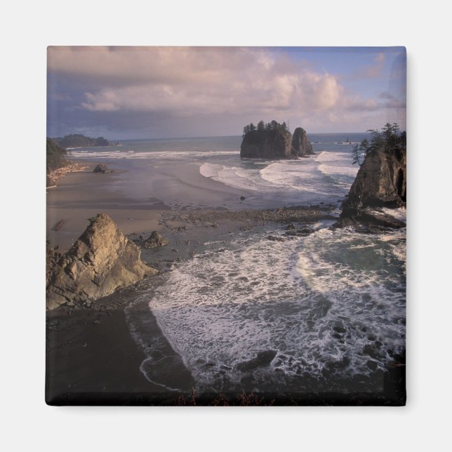 Aimant Amérique du Nord, États-Unis, Washington, Pôle oly (Devant)