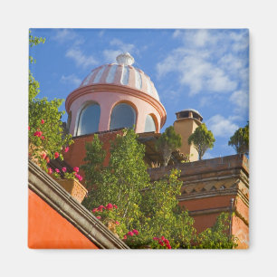 Aimant Amérique du Nord, Mexique, État de Guanajuato, San