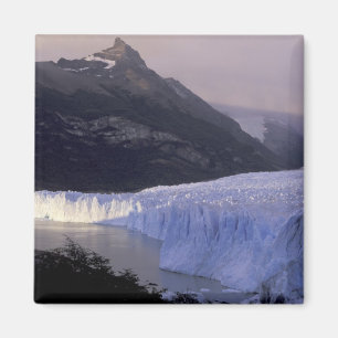 Aimant Amérique du Sud, Patagonie, Argentine Parc