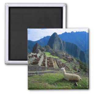 Aimant Amérique du Sud, Pérou. Un lama repose sur une col
