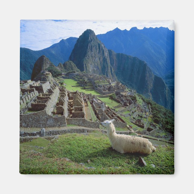 Aimant Amérique du Sud, Pérou. Un lama se repose sur une  (Devant)
