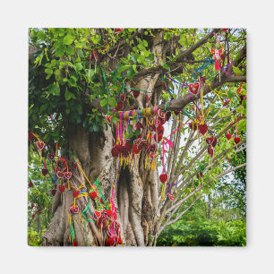 Aimant Amidon, Zhonghe - Yunnan, Chine