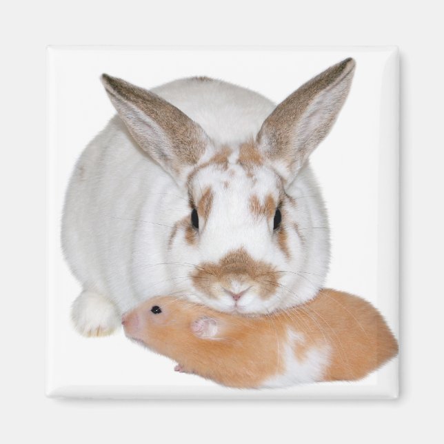 Aimant Amis (Devant)