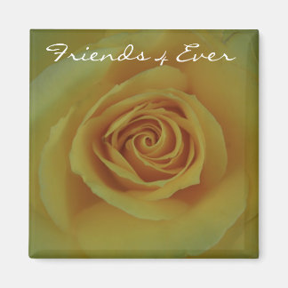 Aimant Amis 4 jamais