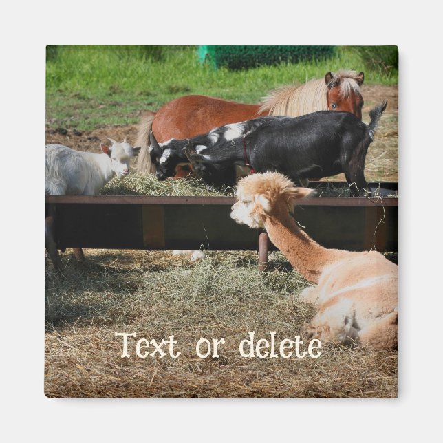 Aimant Amis d'animaux de ferme Personnalisé (Devant)