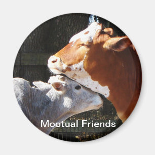 Aimant Amis de Mootual