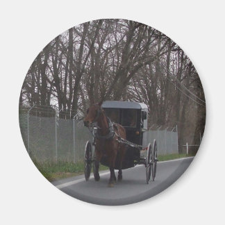 Aimant Amish Buggy