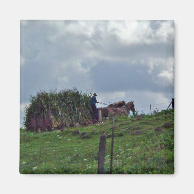 Aimant Amish Harvest (Devant)