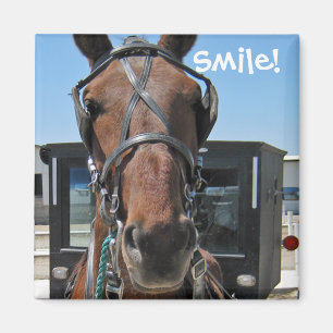 Aimant Amish Smile ; o)