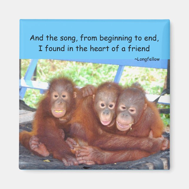 Aimant Amitié animale 3 de bébés pas une foule (Devant)