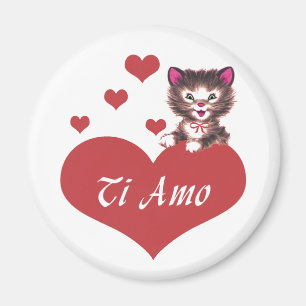 Aimant AMO de Ti