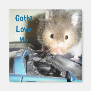 Aimant Amour de hamster