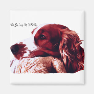 Aimant Amour de springer spaniel de Gallois