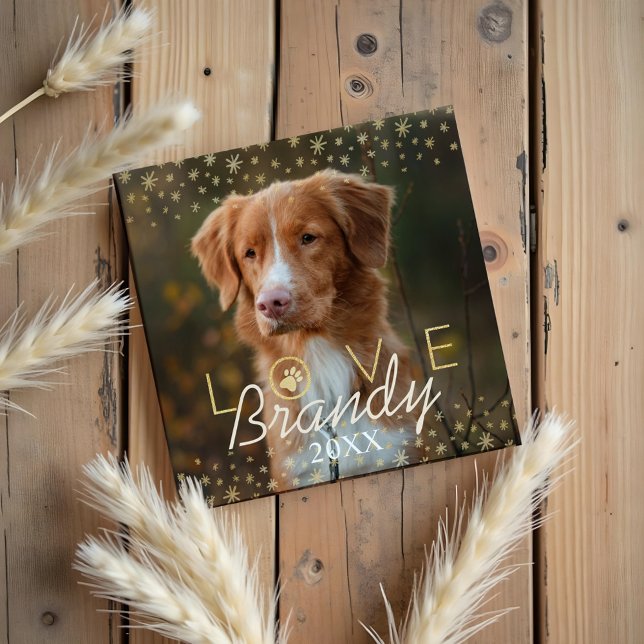 Aimant Amour et souvenirs | Photo Mémorial des animaux de (Love & Memories | Holiday Stars Pet Memorial Photo Magnet)