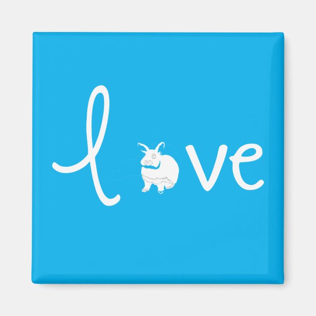 Aimant Amour lapin (Devant)