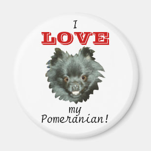 Aimant AMOUR noir de Pomeranian-I mon Pomeranian !