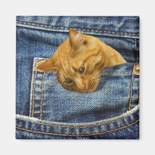Aimant Amoureux de les chats mignons Garder cadeau