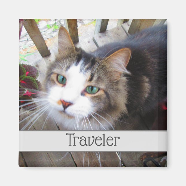 Aimant Amoureux des animaux de compagnie Chats mignons Cr (Devant)