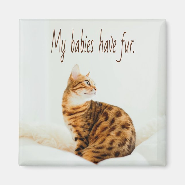 Aimant Amoureux des chats, mignon Kitten mème, mes bébés  (Devant)