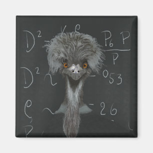 Aimant Amusant Emu Einstein