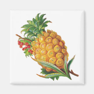 Aimant ananas