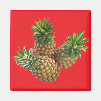 Aimant Ananas