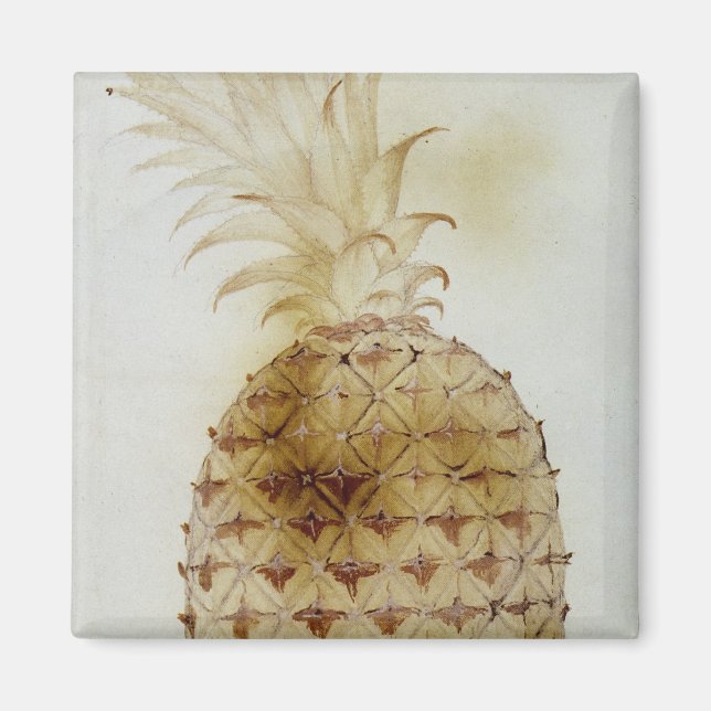 Aimant Ananas (Devant)