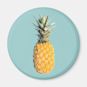 Aimant ananas