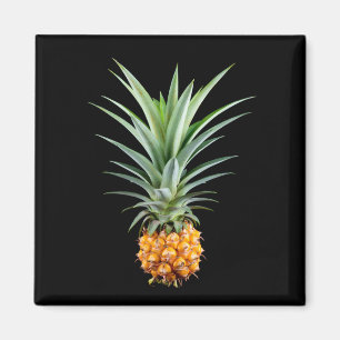 Aimant Ananas avec grande coiffure sur arrière - plan noi