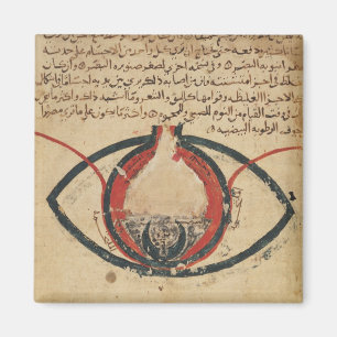 Aimant Anatomie de l'oeil, d'un livre sur des maladies